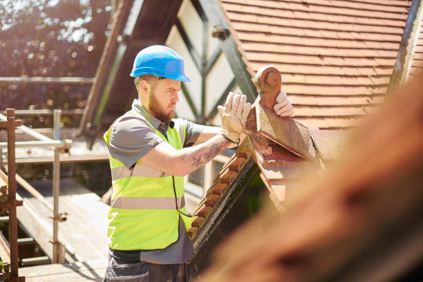 Best Roof Leak Repair  in New Brunswick, NJ